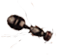 ant-body