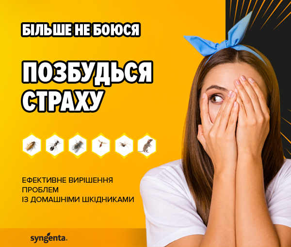 banner-mobile