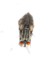 fly-body