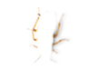 kuka-legs